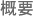 概要